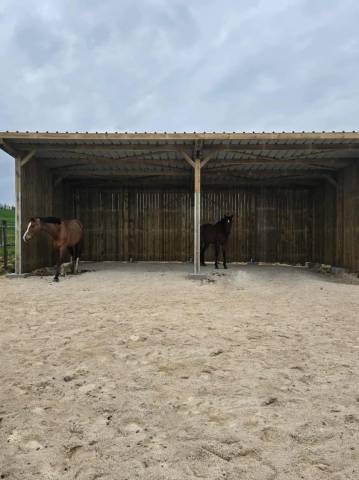 Places disponibles en pension écurie dynamique samatan