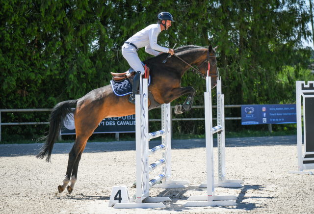 Belle jument potentiel 135