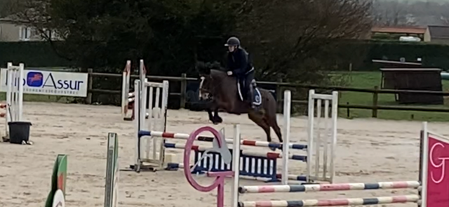 Poney d 5 ans prêt pelite pour as a terme.