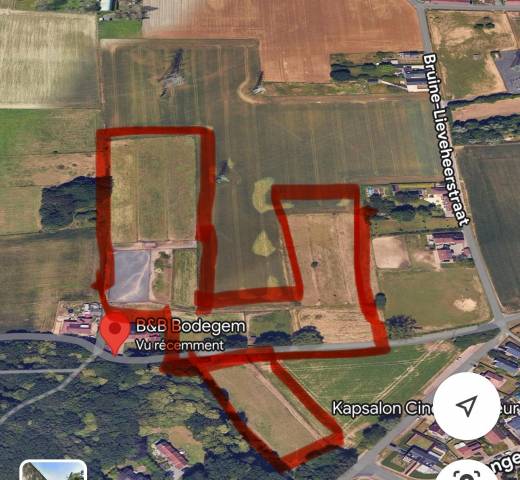 Places disponibles en pension prairie - dilbeek 