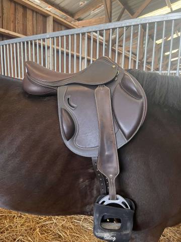 Selle Eric Thomas Mixte 