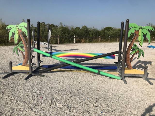 Lot d&rsquo;obstacles Safari 