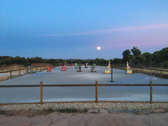 Lot d&rsquo;obstacles Safari 