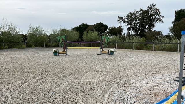 Lot d&rsquo;obstacles Safari 