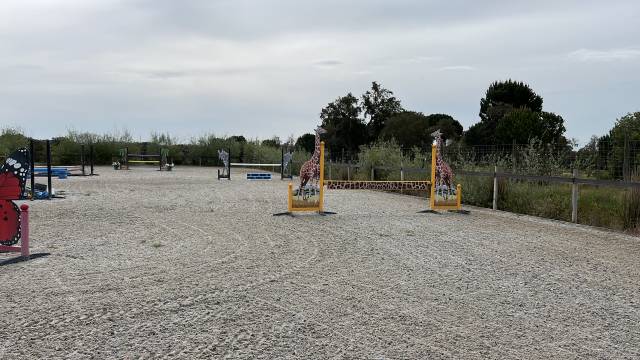 Lot d&rsquo;obstacles Safari 