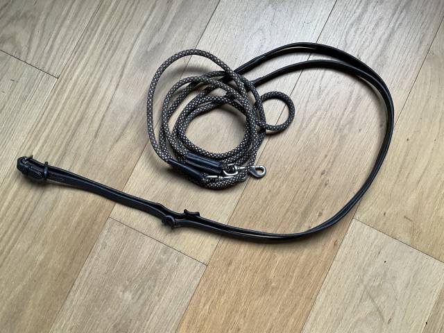 R&ecirc;nes allemandes 