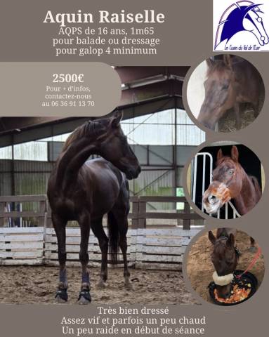 Aquin raisselle aqps