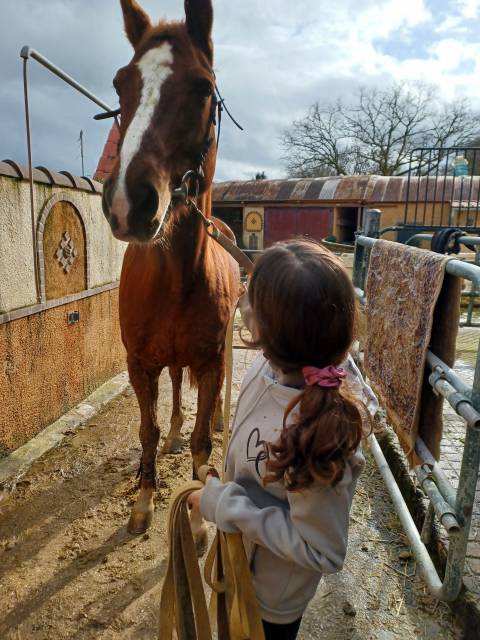 Apprenti poste libre 