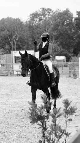 Recherche demi pension