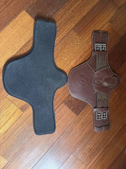 Sangle Bavette Courte Antares 