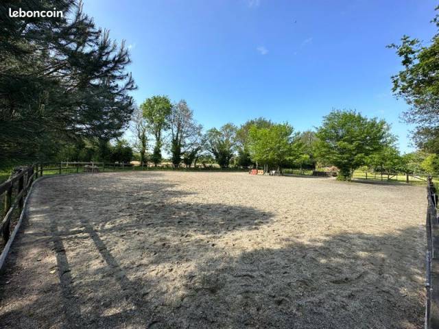 Pensions aux prés avec installations 