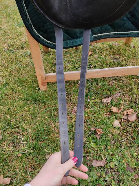 Selle de dressage Child&eacute;ric DSG 