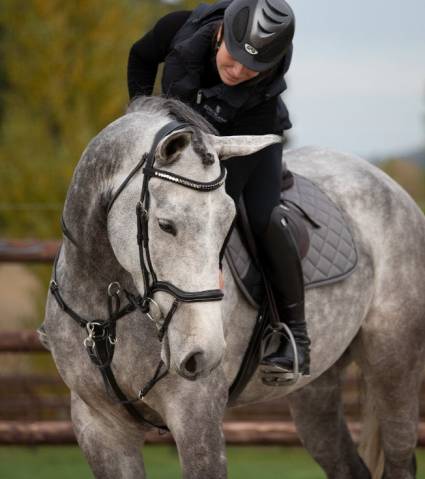 Frontal rembourr&eacute; vague strass - Noir / Gris / Blanc