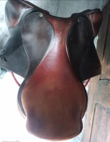 Selle delgrange virtuose 