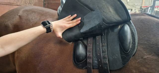 		Selle Acavallo 17&rdquo; 