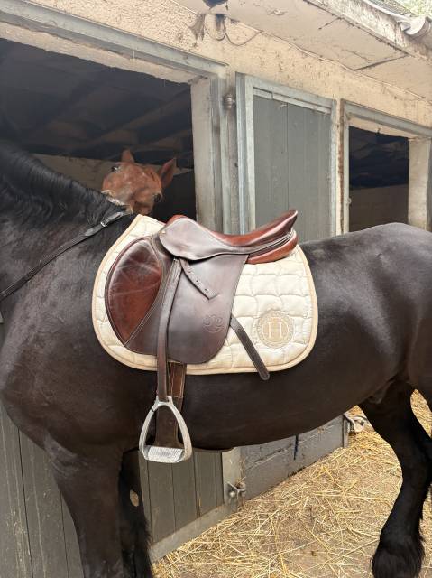 Selle Bruno delgrange 18 pouces