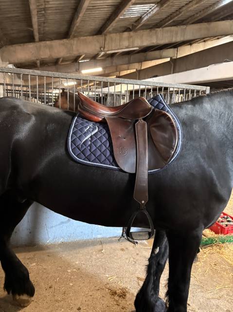 Selle Bruno delgrange 18 pouces