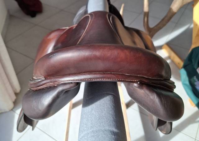 Selle Forestier 16.5 S&eacute;oul 2023 