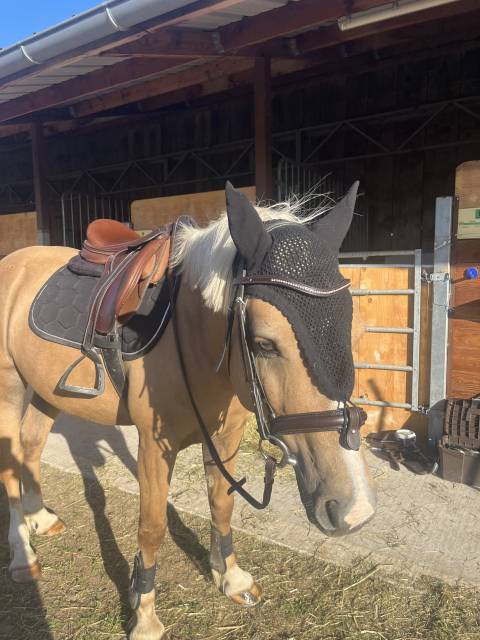 Selle &Eacute;ric thomas 