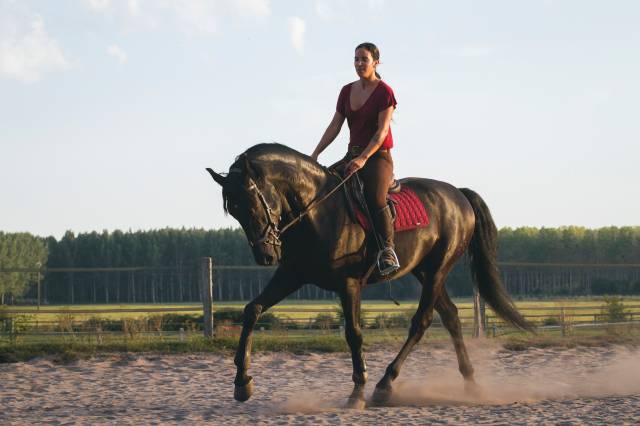 Recherche demi pension pour letrado