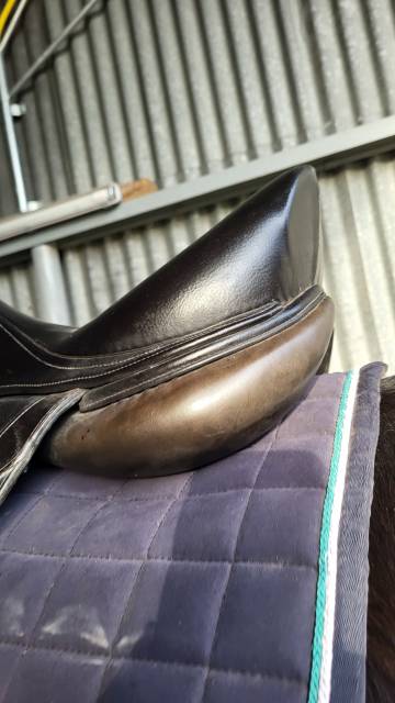 Selle dressage cwd 