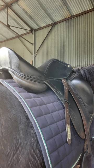 Selle dressage cwd 