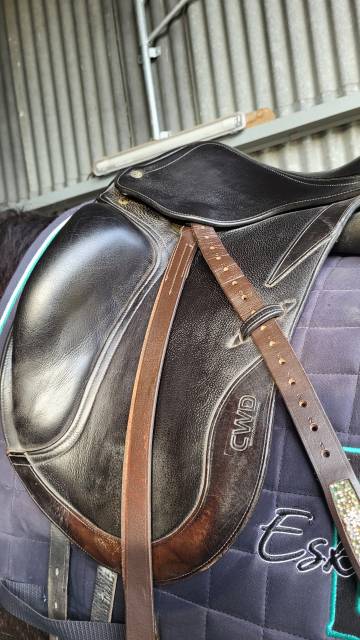 Selle dressage cwd 