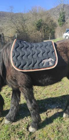 Tapis P&eacute;n&eacute;lope noir 