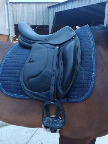 Selle de dressage Darroze 