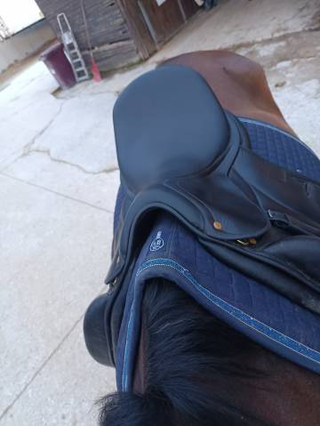 Selle de dressage Darroze 