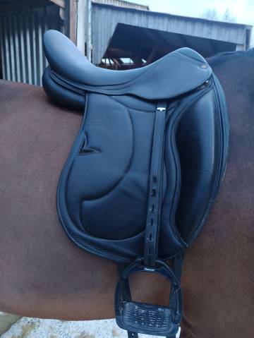 Selle de dressage Darroze 