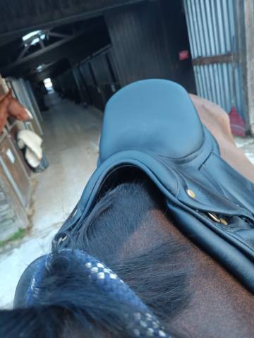Selle de dressage Darroze 