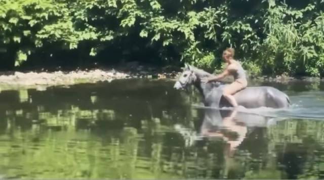 Poney de sport connemara 2022 taille d