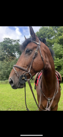 Bridon &eacute;quipe emporio 