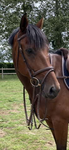 Bridon &eacute;quipe emporio 