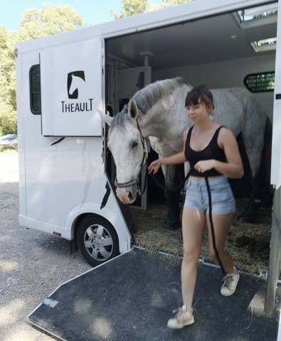 Renault preteo theault