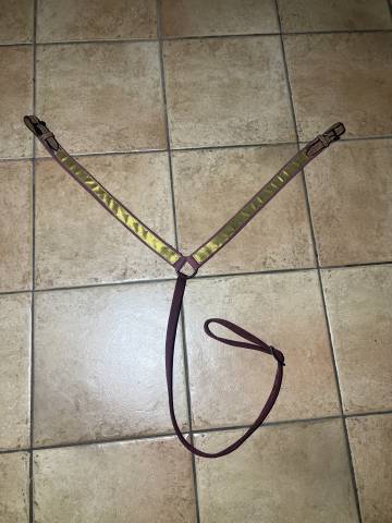 Collier de chasse neuf vaquera garocha  Spectacles ibér