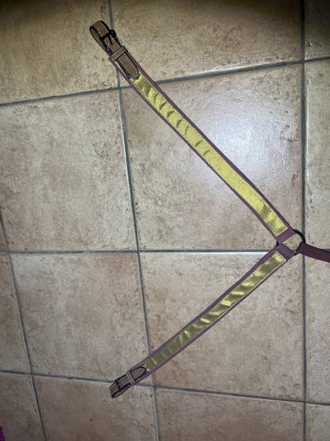 Collier de chasse neuf vaquera garocha  Spectacles ib&eacute;r