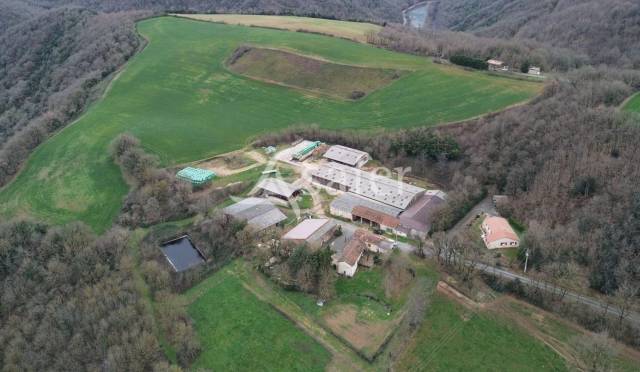 Exploitation agricole idéal élevage 102 ha