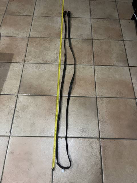 Rênes Vaquera garocha ibérique espagnol portugais 