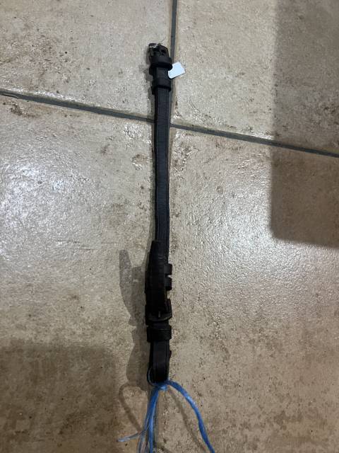 Lire texte &Eacute;quitation cheval chien cuir muserole 