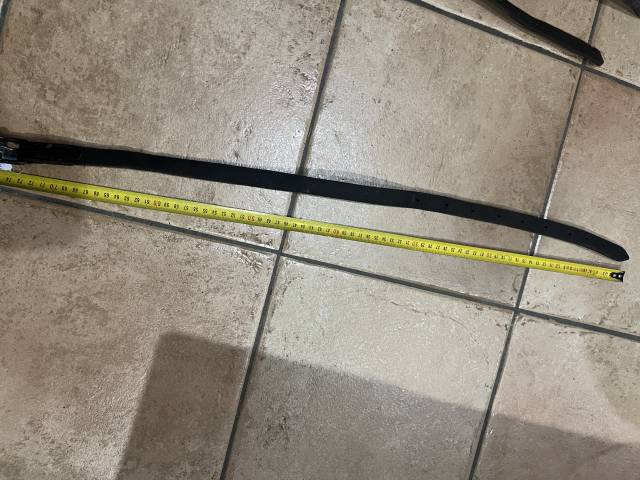 Lire texte &Eacute;quitation cheval chien cuir muserole 