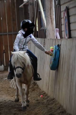 Poney idéal enseignement et competition