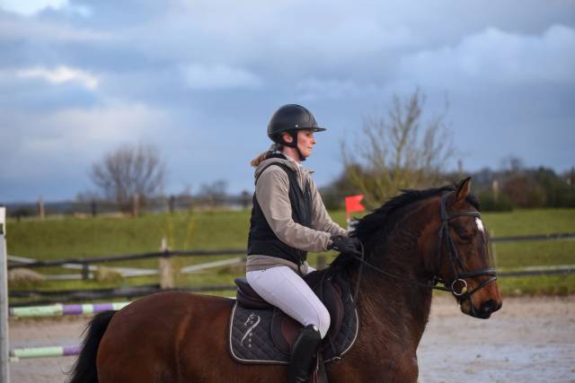 Petit cheval de sport idéal club amateur