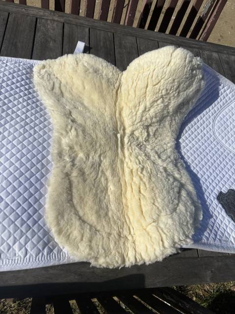 Tapis merino dressage blanc Premi&egrave;re Equine