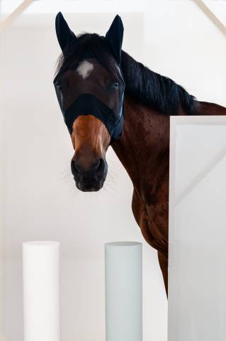 Bonnet anti-mouches long - Cavalleria Toscana