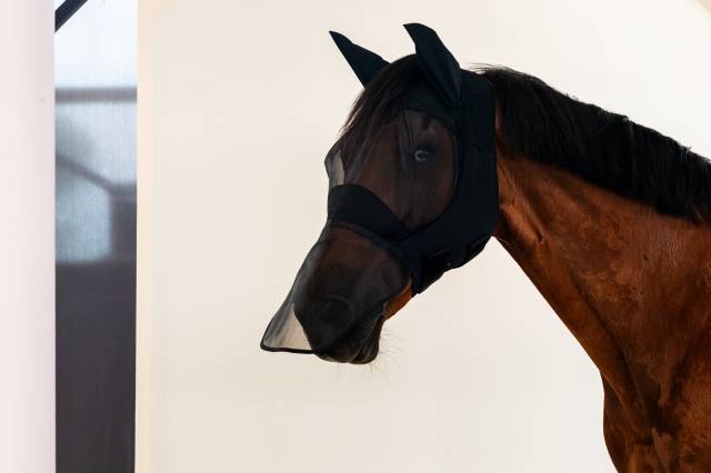 Bonnet anti-mouches long - Cavalleria Toscana