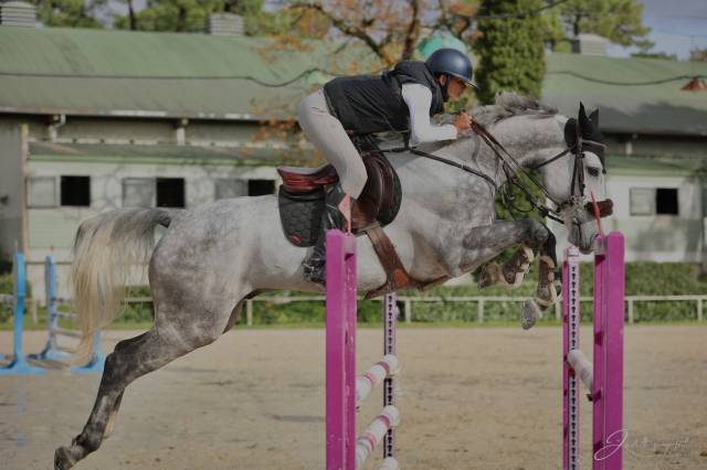 Cheval 8ans avec expérience 1m30