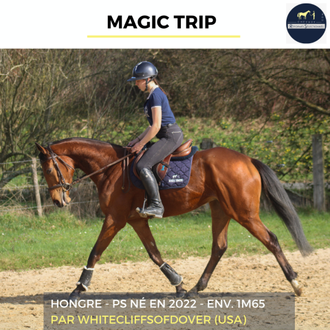 Magic trip - ps - 4 ans