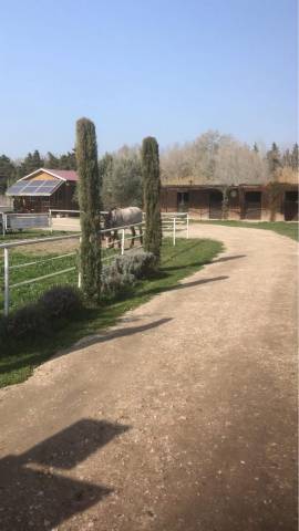 Pension chevaux 